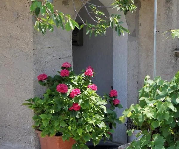 Apartment 5600b *